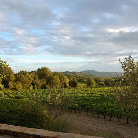 Maison Bijoux-De-Provence "Lavande" Puyméras Kültér fotó